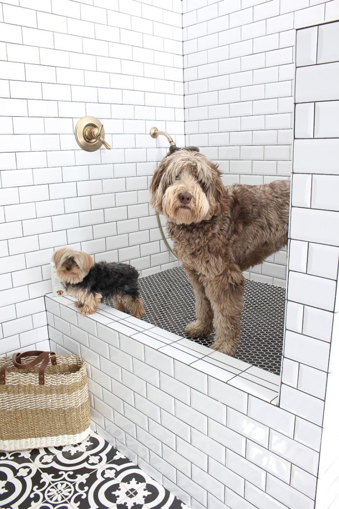 Pet Friendly Floors Cornerstone Tile